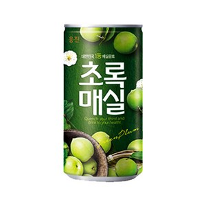 웅진 초록매실 180ml, 60개