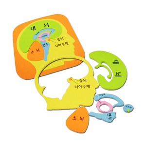 인체 두뇌 퍼즐