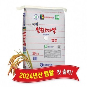 (강원마트)(강원S)(당일도정) 2024년산 동철원농협 철원오대쌀 20kg 햅쌀, 1개