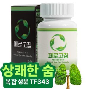 페로고침 TF343 복합성분 퀘르세틴, 1개, 30정
