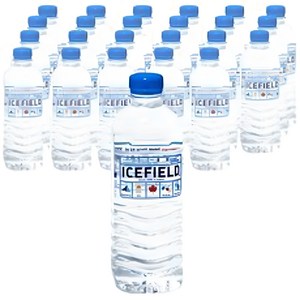 과다재고 아이스필드 500ml*24병, 500ml, 24개