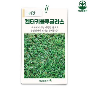 다농 잔디씨앗 20g 켄터키블루글라스 캔블루 마당 정원 종자, 1개