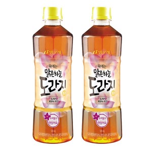 빙그레 맑은하늘 도라지차, 500ml, 20개