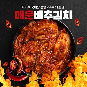 경자네 국내산 전라도 청양 실비 매운 배추 포기김치, 1개, 2kg