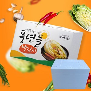 풍년들 백김치 아이스박스, 1개, 10kg