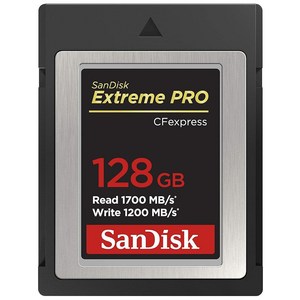 SanDisk 익스트림 프로 CF익스프레스 카드 타입 B 128GB(SDCFE-128G-GN4NN), 128GB