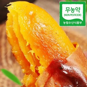 [달콤허니] 해남1등농장 품질엄선 무농약 꿀고구마, 1박스, 3kg(중)