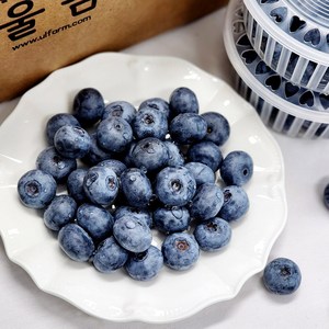 국내산 산청 블루베리 생과, 2개, 블루베리(중)_100g