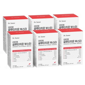 닥터슈머 리포좀 글루타치온 부스터 3g x 30포 닥터하이 리포조말 가루 분말 비타민C 셀렌 비타민E 밀크씨슬, 90g, 6개