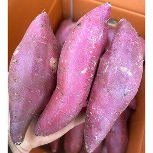 꿀맛 황금 호박고구마 특상, 1개, 2kg