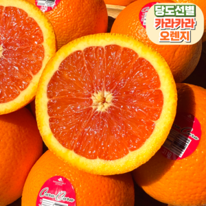 [당도선별] 프리미엄 카라카라 오렌지, 1개, 중과 20과