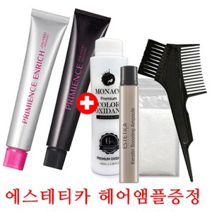 시세이도 프리미언스 엔리치 염색약80g+에스테티카 헤어앰플증정/새치전용 염모제/멋내기 유행칼라 염모제, 새치커버, 새치(내추럴브라운) NB-6, 1개