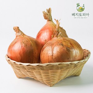 베지토피아 수입 자이언트 양파 업소용 식자재용 중국산 3kg 5kg 10kg, 1개