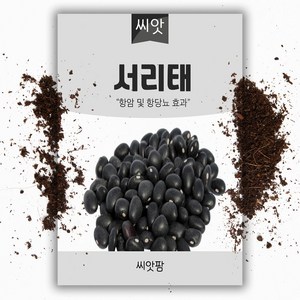 서리태씨앗 (30g), 1개