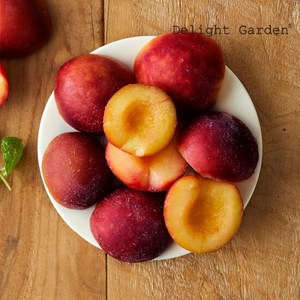 [딜라잇가든]냉동 자두(반태) 1kg x 3, 3개