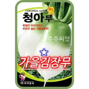 청아무 15g / 무우씨 무씨앗 김장무, 1개