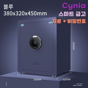 Cynia 예쁘고 튼튼한 가정용 금고 지문인식 비밀번호 소형부터 대형, 45cm, 블루