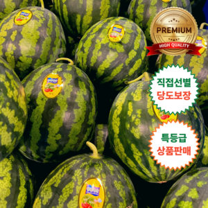 [프리미엄] 특품 고당도 꿀수박 당일경매, 1개, 수박4~5kg