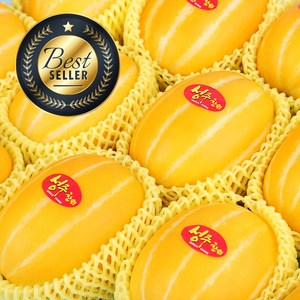 [프리미엄 GAP인증 꿀 참외] 성주참외 로얄과 최상품 황금참외, 1박스, 가정용 성주참외 5kg