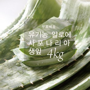 [무료배송]유기농 알로에 사포나리아 4kg/알로에 생잎/맛있는 알로에 / 한림알로에, 4kg, 1개