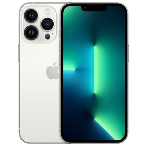 Apple 아이폰 13 Pro 자급제, 실버, 128GB