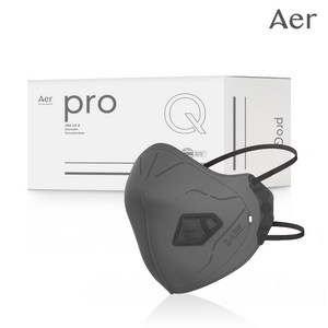 아에르 Po Q200F (프로 큐) 1급 방진마스크 1BOX (10개입) / 산업용 공사현장 분진 용접용, 아에르 PRO Q200F 1급 방진 (그레이), 10개입, 1개