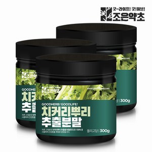 치커리 뿌리 추출물 100% 분말 가루 300g x 3, 3개