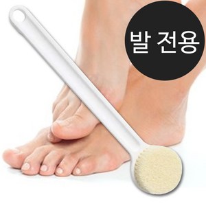 더로만 발 전용 롱 브러쉬 솔 35cm, 1개, 1개입