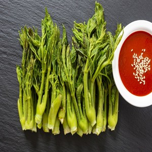 [맛한줄] 국산 두릅 자연산 두릅 땅두릅 참두릅 봄나물 나물 달래, 500g, 1박스