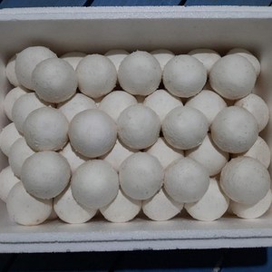 올푸른푸드 부여 양송이 버섯 2kg white button mushroom, 못난이 부여 양송이버섯 2kg, 1개