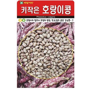 키작은 호랑이콩씨앗 30g, 1개