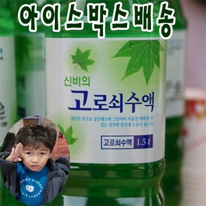 (엄마마음 효자고로쇠) 산지직송 지리산 효자 1등급 고로쇠수액 100% 수액 (아이스박스 배송), 12개, 1.5L