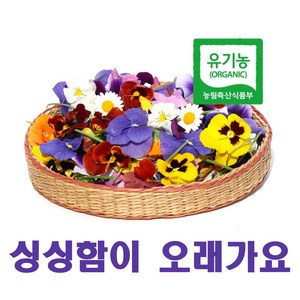 식용꽃 먹는꽃, 유기농 식용꽃 100송이, 1개