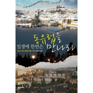 일생에 한번은 동유럽을 만나라:드넓고 깊은 동유럽 예술 기행, 21세기북스, 최도성