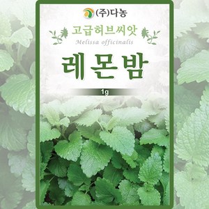 다농 레몬밤 씨앗 1g, 1개