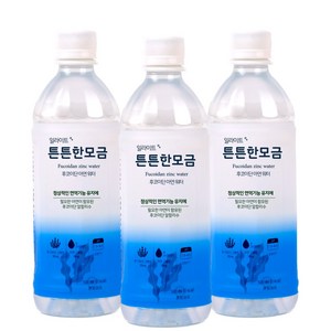 일라이트 튼튼한모금 물애담 후코이단 아연 미네랄워터 알칼리수, 60개, 500ml