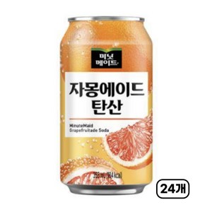 미닛메이드 자몽에이드 탄산 355CAN X24, 355ml, 24개