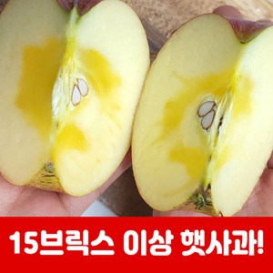 햇사과 부사 꿀 사과 고당도 가정용 선물용 햇사과 2kg 5kg 10kg, 1박스, 10kg 흠과 대과 (26-31과)