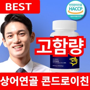 철상어콘드로이친1200mg 맥스콘드로이틴1200 종근당사은품 철갑상어연골, 1개, 60정