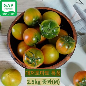 [당도선별] 대저 짭짤이 토마토 강서농협인증 특품 짭짤이 2.5KG, 2.5kg (M), 1개