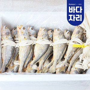 바다자리 영광 법성포 부세 보리굴비 50미 특대 프리미엄 벌크 도매 대용량, 부세 보리굴비 특대 50미, 1개