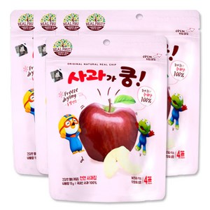 뽀로로 사과가 쿵 천연 과일칩 15g, 5개