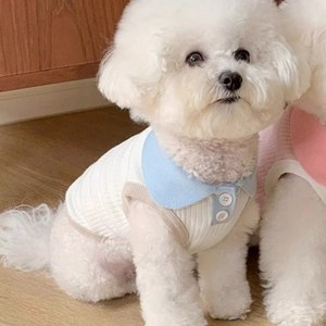 숑숑펫 폴로 마카롱 파스텔 반려동물 나시 티셔츠, 화이트, 1개