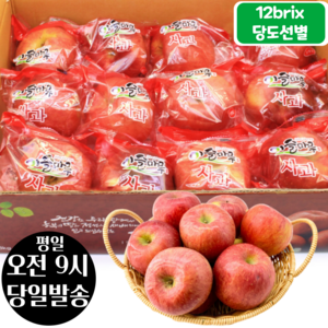 [오전8시 주문건 당일발송] 12브릭스 당도선별 세척사과 3kg (12~15입 중과), 3kg (12~15입), 1개