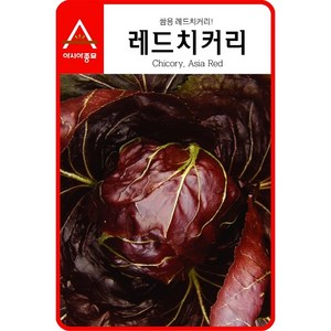 아시아종묘 씨앗 치커리 레드치커리 1500립, 1개