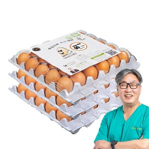 [당일 생산] 닥터안스에그 무항생제 인증 수의사 계란 특란, 90구, 1개