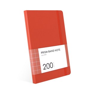 인디고 프리즘 200 밴드노트 모눈, 브릭, 1개