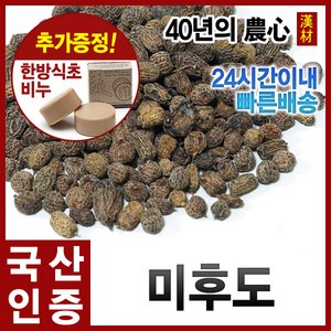 미후도300g 참다래열매 다래 국내산(경북영천), 단품, 1개, 300g
