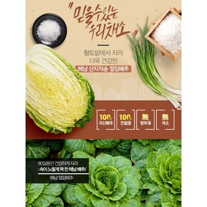 산지직송 국내산 100프로 속이꽉찬 땅끝마을 해풍맞은 절임배추20KG, 배송메세지에 도착일을 반드시 기록해주세요, 20kg, 1개