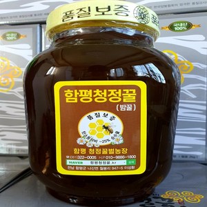 [함평청정꿀] 국내산 밤꿀 천연 벌꿀 2.4kg 산지직송, 1개